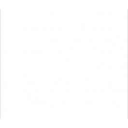 Claire Fontaine: White Sheet 170lb Pastelmat 50x70cm
